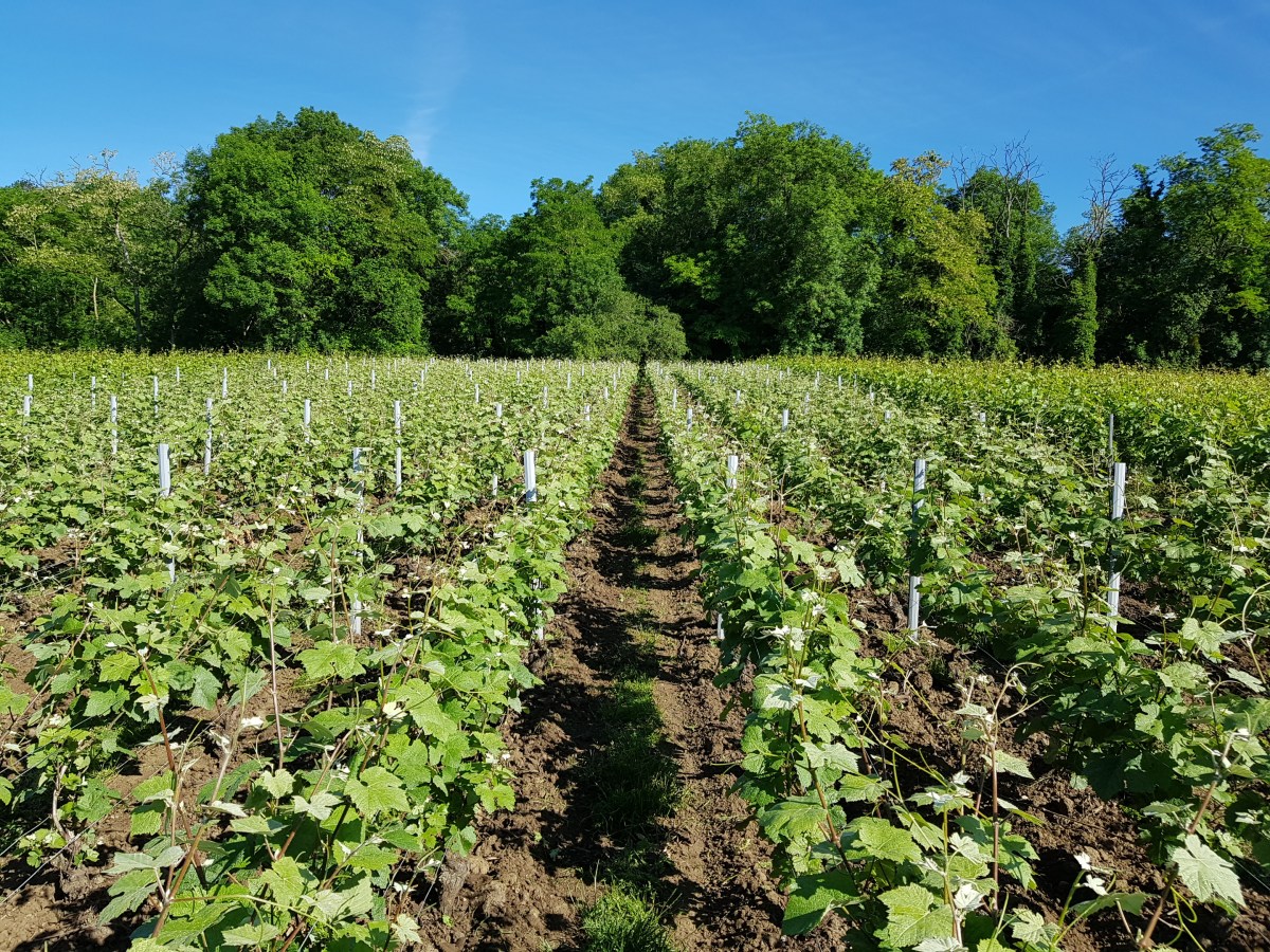 Un nouveau site web&nbsp;!