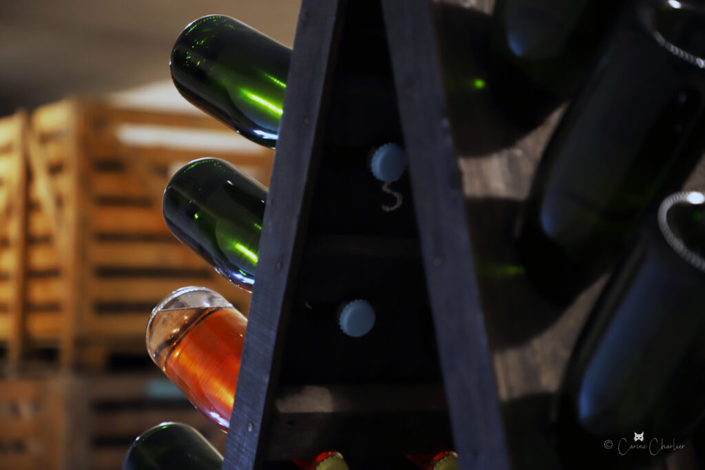 bouteilles de champagne sur pupitre