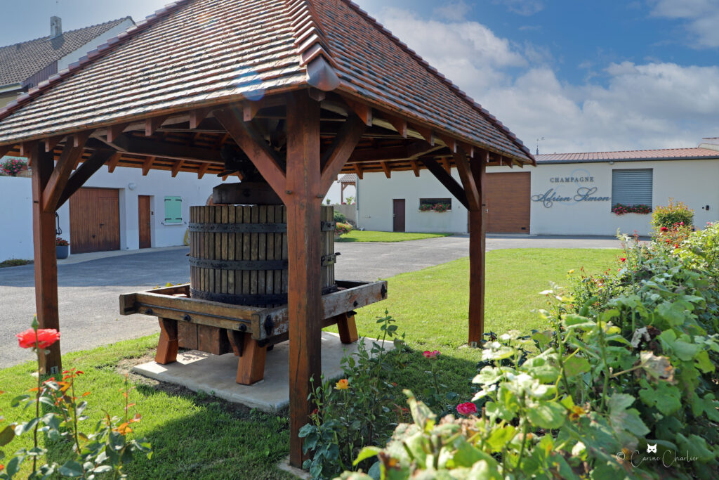 visite pressoir champagne adrien simon